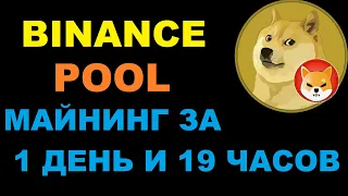 СКОЛЬКО Я НАМАЙНИЛ С BINANCE POOL? GTX 1070 и TREX МАЙНЕР