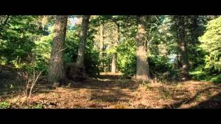 Lone Survivor (2013) Official Movie Trailer