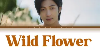 RM, youjeen 'Wild Flower' Lyrics (들꽃놀이) (Color Coded Lyrics)