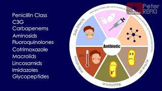 Antibiotics Flashcards | PART 1: PENICILLIN CLASS (from ECN-PILLY 2020)