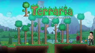 Terraria OST - Overworld Day ♂Right Version♂
