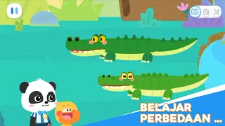 Kiki Bayi Panda Dan Bebek Qweki Belajar Tinggi Dan Pendek | Babybus Bahasa Indonesia