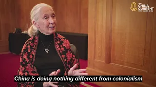 Jane Goodall on How to Heal Our Earth