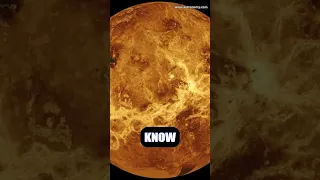 What If Humans Evolved on Venus Instead?
