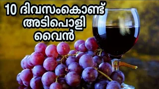 Easy Grape Wine||Homemade Wine||Making of Grape wine in 10days