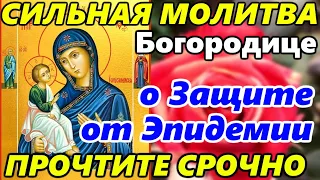 ПРОСИТЕ У БОГОРОДИЦЫ ЗАЩИТЫ ОТ ЭПИДЕМИИ! Молитва Иконе Божией Матери ИЕРУСАЛИМСКАЯ