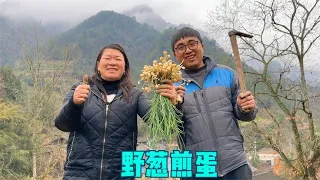 Dongbao found a treasure land of wild onions and took his mother-in-law to dig a large handful and