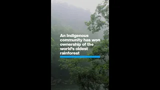 How an Indigenous community won the world’s oldest rainforest #Shorts