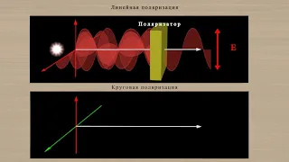 Поляризация света