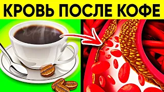 Вот она - правда! Реакция сосудов на кофе вас удивит (важно)