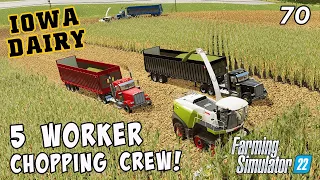 Investing in better equipment for chopping corn silage! - IOWA DAIRY UMRV EP70 Farming Simulator 22