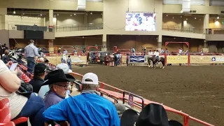 2020 NFSR - Trevor Brazile RD. 5 - 11/6/2020