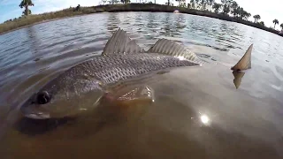 Fishing St. Marks - Catching Fish on Back to Back to Back Casts Ep 71