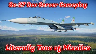 Su-27 Flanker First Dev Server Gameplay & Overview - Big & Tall [War Thunder]