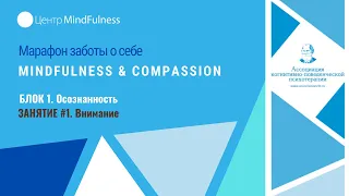 Марафон заботы о себе Mindfulness & Compassion. Осознанность. Занятие #1 - Внимание