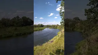 17 июля 2023 г. Река Медведица, Даниловский район, Волгоградская область.  #Березовская  #Медведица