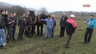 Međunarodna straparijada Izacic (Karaula) 2/01