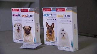 Dog owners blame popular flea medicine for pets's deaths