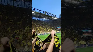 Borussia Dortmund vs PSG (Semifinal 2023-2024 / You'll never walk alone)