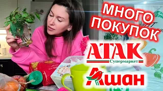 ПОКУПКИ с ценами в АШАН АТАК май 2023 г. Покупки Еды, для Дома, для Рассады. Закупка надолго.