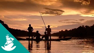 Amazonas dorado - ¡Ahora en alta calidad! (Documental completo)