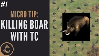 How to kill a Boar with your TC | Age of Empires 2: DE Micro Tips #1