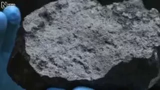 Mighty Martian meteorite lands at the Museum | Natural History Museum