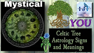 Mystical You II The Celtic Tree Astrology Signs and Meaning II #insjenf