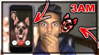 DO NOT FACETIME SMILE DOG WHEN SPINNING A FIDGET SPINNER AT 3AM!! *OMG SMILE DOG CAME TO MY HOUSE*