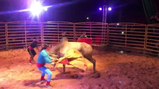 Circo Irmãos Power em Sergipe(9)