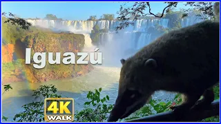 【4K】WALK Iguazu Falls in Misiones ARGENTINA Devil's Throat