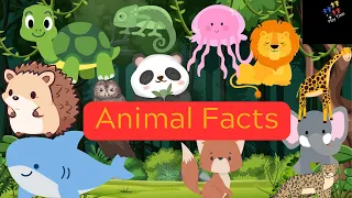 Animal Facts | Know these unknown truths about Animals
