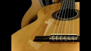 La Paloma Spanish Guitar (Read Description for Discernment)