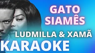 GATO SIAMÊS   LUDMILLA & XAMÃ   KARAOKE