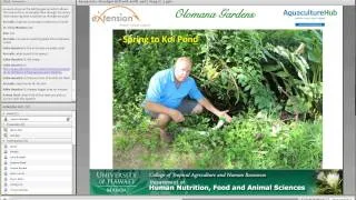 Aquaponics: Paradigm Shift with Airlift Pumps Part 2