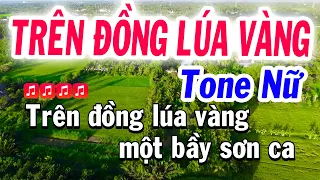 Tình Ca Trên Lúa Karaoke Tone Nữ Cha Cha Dễ hát ( Rê Thứ ) Karaoke Tuyết Nhi | Trên Đồng Lúa Vàng