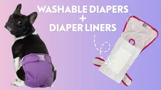How to Combine Diaper Liner with Washable Dog Diaper | Paw Inspired® Reusable Diaper & Diaper Liner
