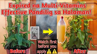 Pampataba sa Halaman/ Expired na Multi-Vitamins Effective Pandilig sa Halaman