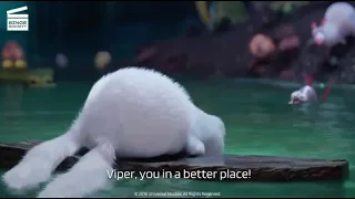 Viper Passes Away In His Death - The Secret Life Of Pets