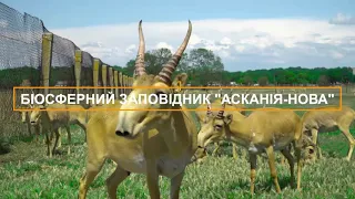 Біосферний заповідник "Асканія-Нова" ім.Ф.Е.Фальц-Фейна