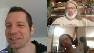 Talking with Matthew Wood, herbalist, and Joshua Leisk, biochemist, about ME/CFS