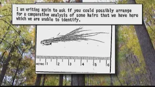 FBI releases 'Bigfoot' files from 1970s, decades after 'credible' Northwest sighting