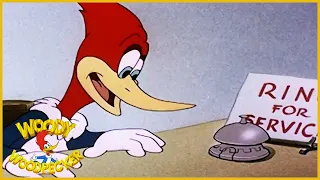 Woody Woodpecker | Woody Dines Out | Old Cartoon | Woody Woodpecker Full Episodes