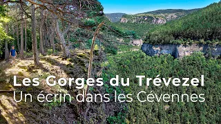 Les Gorges du Trévézel : un écrin dans les Cévennes