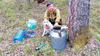 СИБИРСКАЯ ДЕРЕВНЯ. СБОР БЕРЕЗОВОГО СОКА.