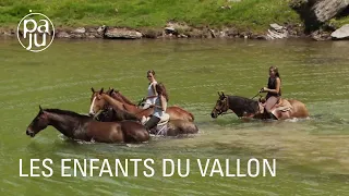 Natacha offre chaque été des vacances à une quarantaine de chevaux, poulains ou poneys