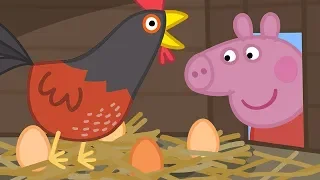 Peppa Pig Nederlands Compilatie Nieuwe Afleveringen 🐣 De Kippen Van Oma Big  | Tekenfilm