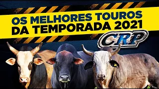 Os TOUROS PREMIADOS de 2021