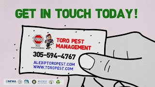 Asian Subterranean Termite in HOMESTEAD, Florida - FREE Termite Inspection - Sentricon