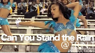 Can You Stand the Rain | Southern University Human Jukebox & Dancing Dolls 🔥